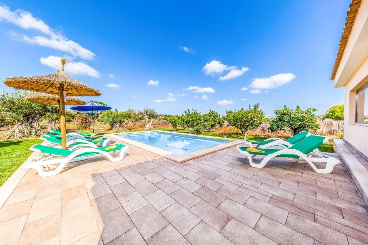 Segue Nou Villa Alcudia (Mallorca)